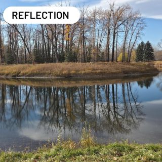 What a beautiful day!!!
 🤔 R E F L E C T I O N 🤔 

#colorinspiration #nature #designinspiration #carburnpark #calgaryalberta